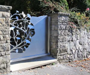 gartentüre mit ginkgos