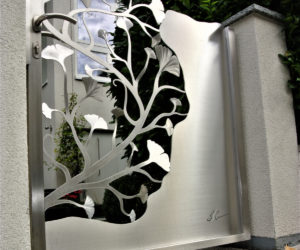 gartentüre und ginkgo