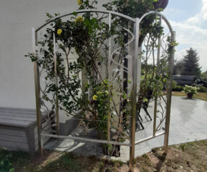 rosenranke edelstahl